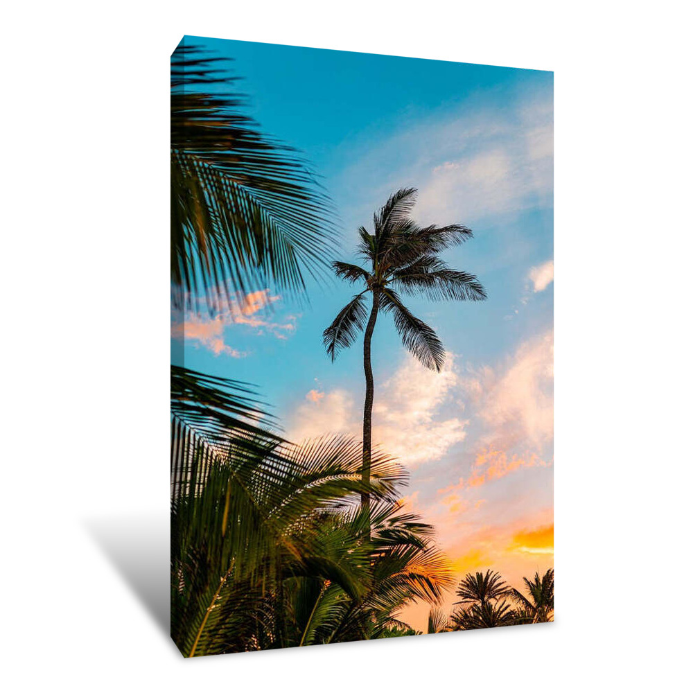 Sunset Palm Canvas Wrap