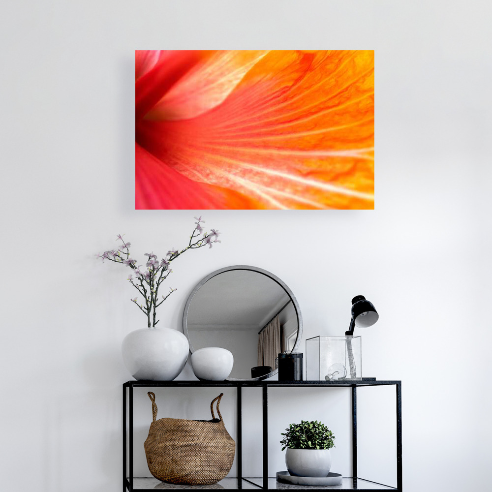 Radial Burst Canvas Wrap Wall 2